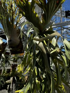 35℃くらいじゃまだまだへっちゃらウィリンキー。