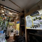 植物部屋でやれることをやる。