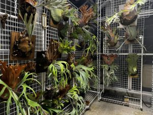 台風対策のため。