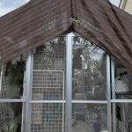 今更遮光をした理由。