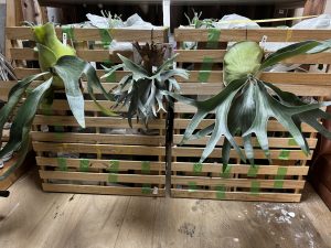 #TBM4 ありがとうございました！