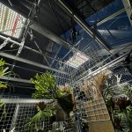 温室の冬支度。