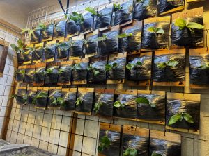 さあ、板付をしようか！！