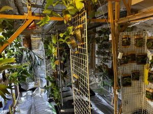 薬散後は暗所にて...