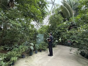 初めて御苑に行ってきた。