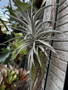 もうすぐ冬が来る。