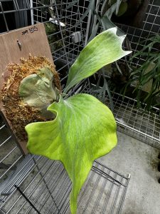 時間をかけて作っていく。