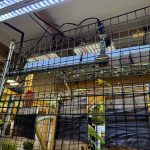 植物部屋の壁拡張工事。