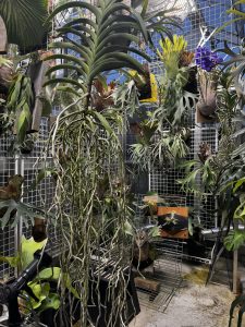 温室がバンバンダ！