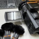 ビカクシダ品評会の撮影に向けて。