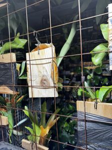 薬を撒き続けた2024