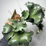 PANE1の表現限界へ。