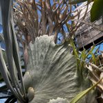 前年度を越えなければならないんだびっち！