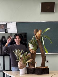 神奈川県立横浜瀬谷高等学校でビカクシダの話をしてきた。