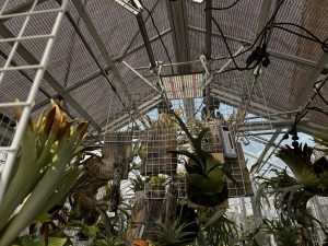 【ひだまり温室】遮光のためDIYをしました。