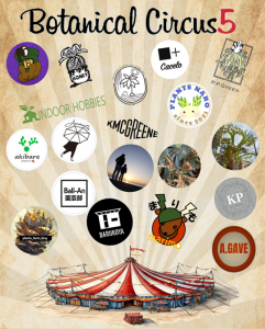 【今日10時チケット開始！】ボタサ５のお知らせ！