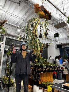 34歳になったようです。