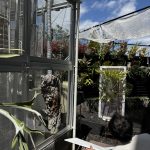 撮影がありました。