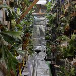 今日!兵庫!タネマキビト狂宴ツー!で待ってます!