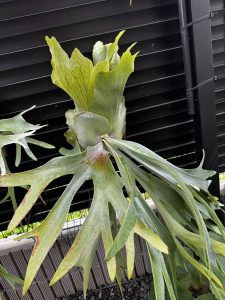 エー組のあの子がいい感じ。３