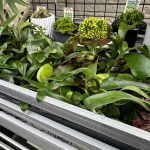 限界突破したアルマダ。