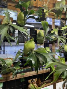 丸ﾋﾞ会東北に向けて...