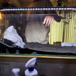 60cm slim水槽を立ち上げる。
