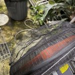 工業扇が強すぎるので...