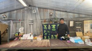 ビカク品評会に向けて...