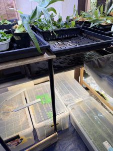 草部屋の掃除...