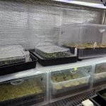 【YM大選抜会】2月22日丸ビに向けて。