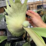 【2月22日】「Uni3」【丸ビ会】