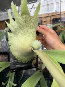 【2月22日】「Uni3」【丸ﾋﾞ会】