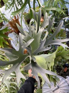 【HVW】丸ﾋﾞ会に向けて。