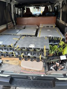 ３３３株のポット苗を持っていく挑戦。