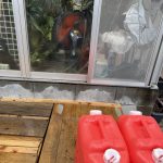 もうラストうゆでありたい！