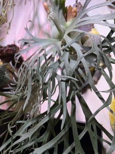 届け...！JGsのその後... 2