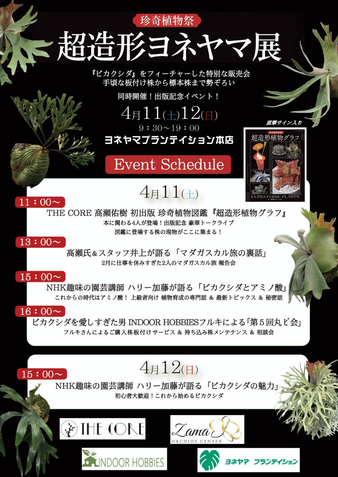 【超造形ヨネヤマ展】4月11日、本日開催...!【ビカクシダイベント】