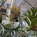 うに。が見たい。6