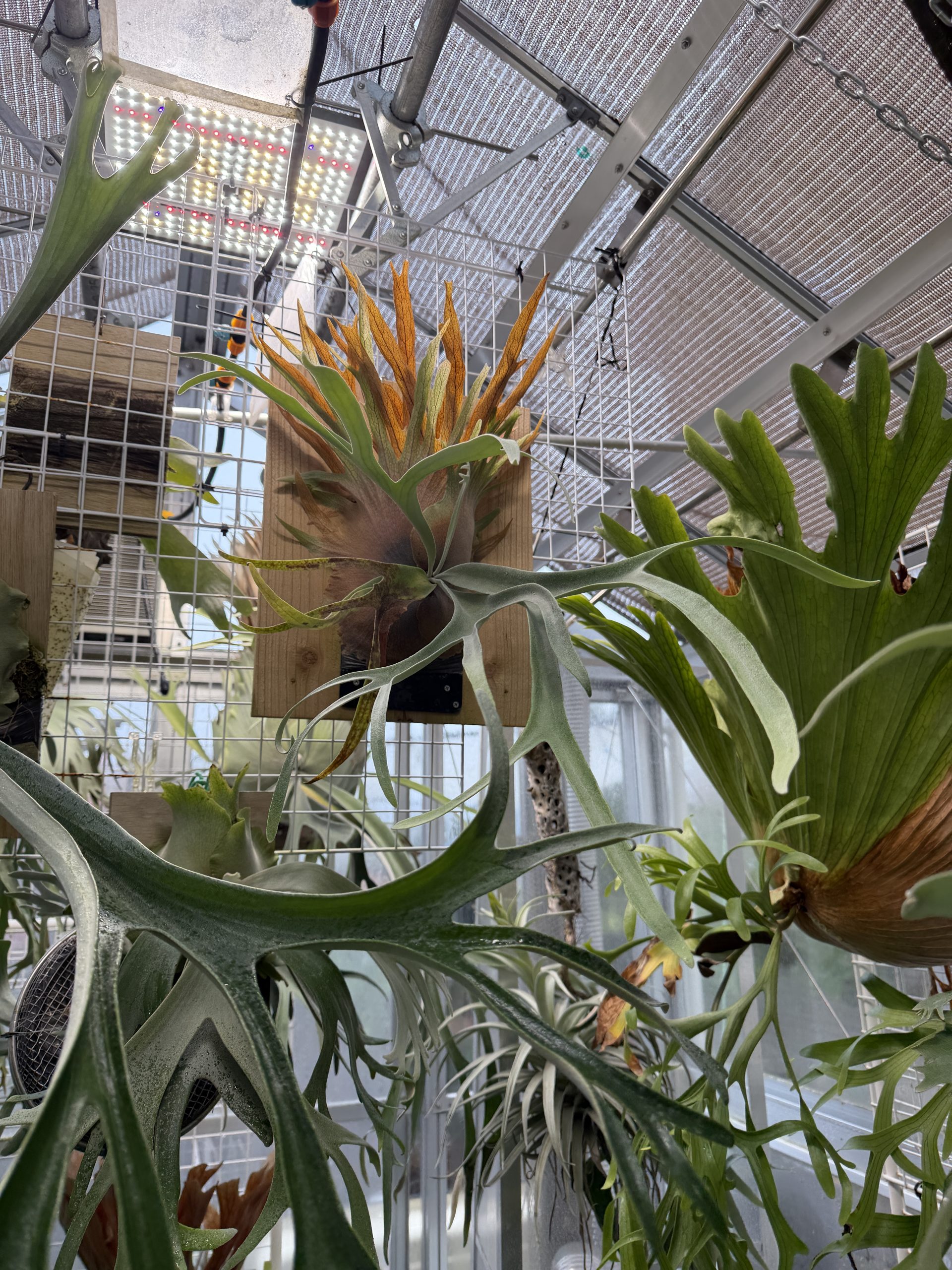 うに。が見たい。6