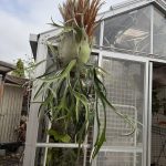 温室から兎に角外へ。