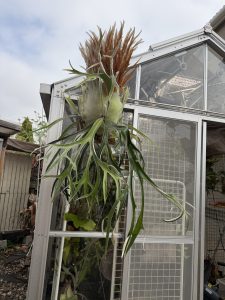 温室から兎に角外へ。