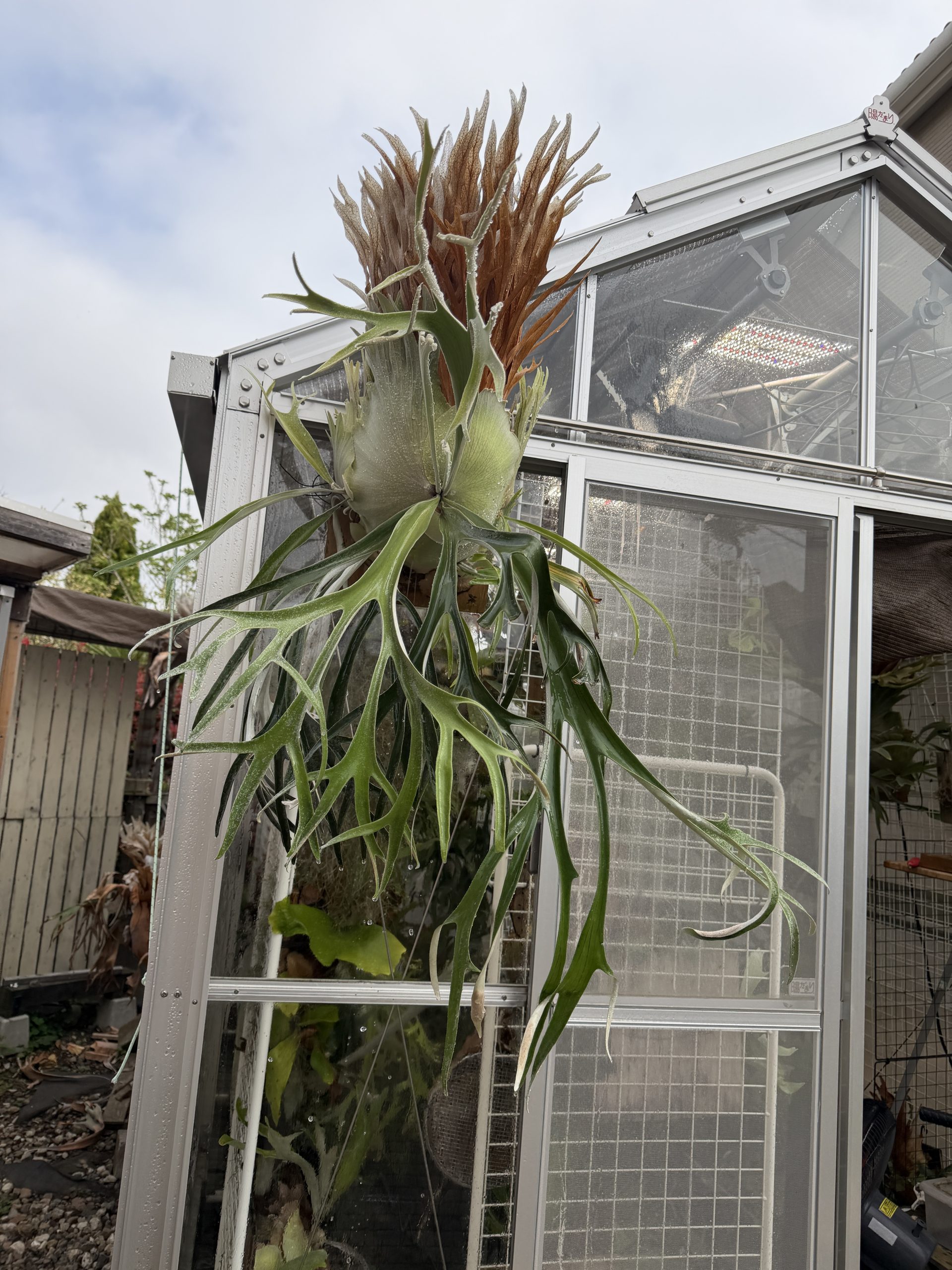 温室から兎に角外へ。