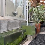 水槽が増える庭。