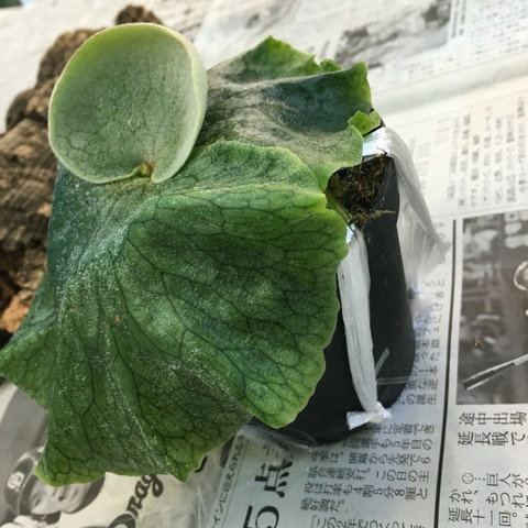 2016-06-12-15-47-44