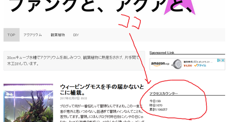 アクセスカウンター