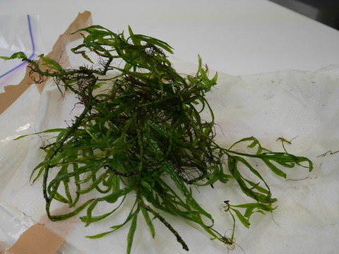 P1110080