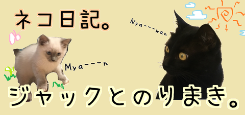 jack to norimaki