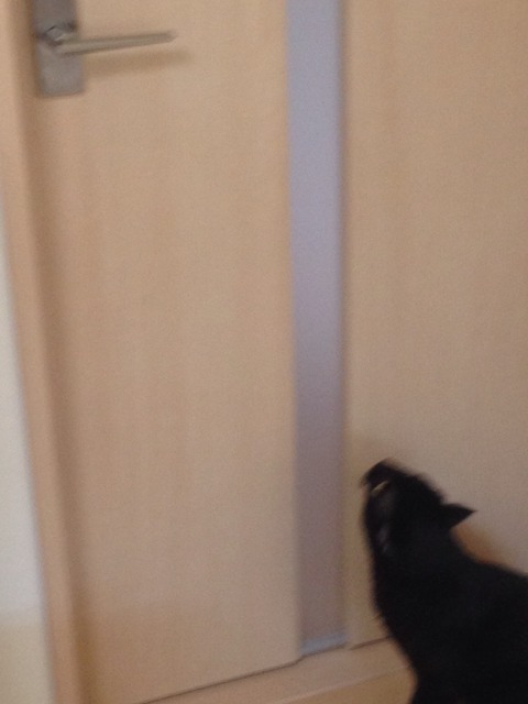 2015-08-28-11-53-16