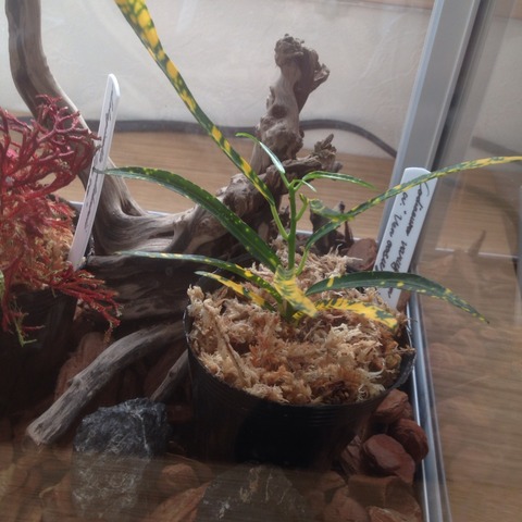 2015-12-07-08-16-48